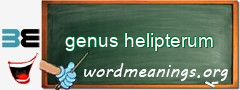 WordMeaning blackboard for genus helipterum